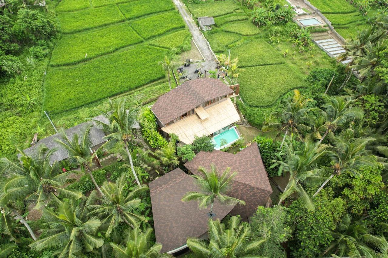 Casa Pohon Ubud Buitenkant foto