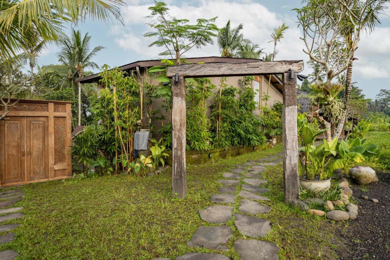 Casa Pohon Ubud Buitenkant foto