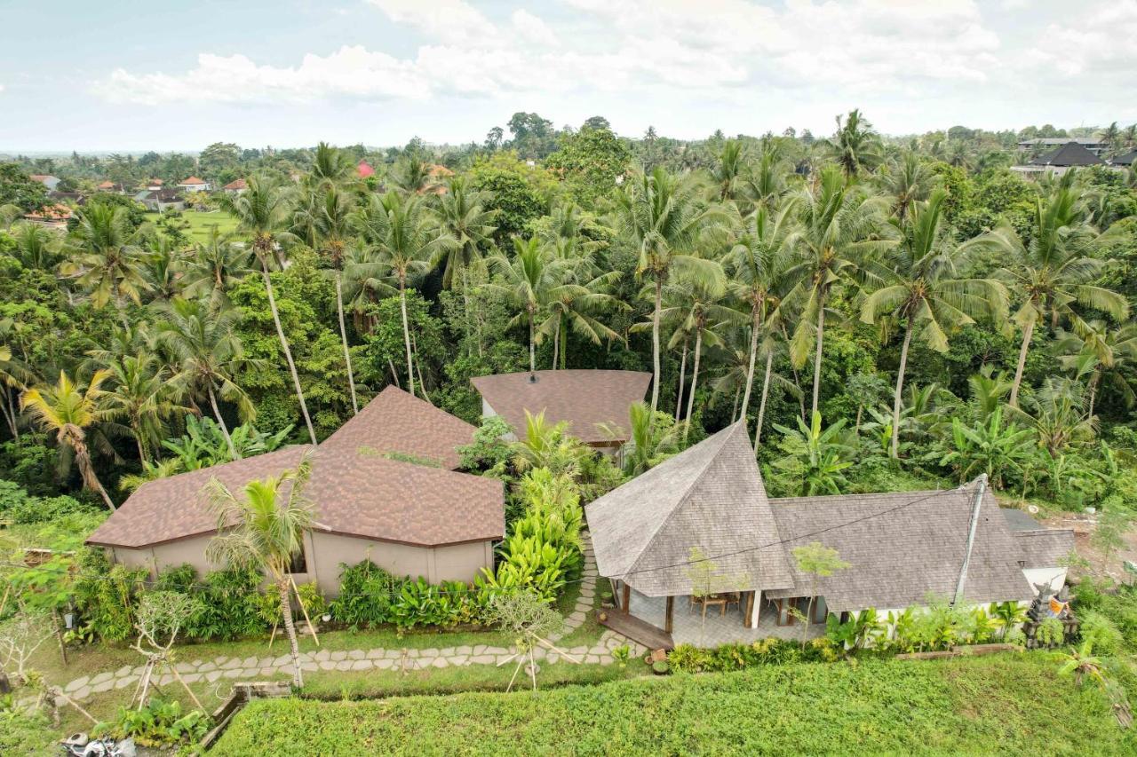 Casa Pohon Ubud Buitenkant foto